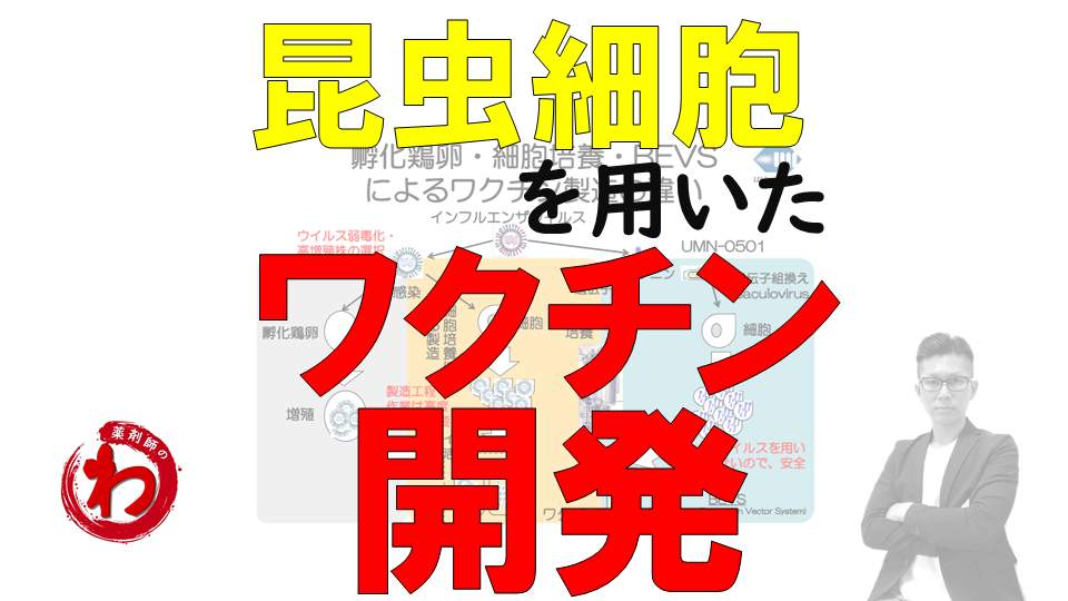昆虫細胞を用いたワクチン開発 | 岩出賢太郎 薬剤師の“わ”