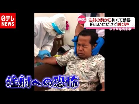【まさか】響きわたる悲鳴！恐れているのは…“笑撃”の一幕　インドネシア（2020年12月17日放送 news every.『まさかの出来事』より） - YouTube
