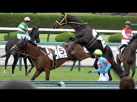 観客の前で新馬同士がやらかす 松山騎手落馬負傷 現地撮影 - YouTube