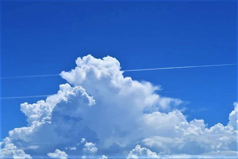 過敏性腸症候群の人、一ヶ月間話そう。part2