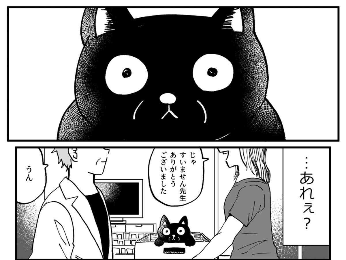 ひっそりと生涯を終えようとしていた野良猫が？　「めちゃくちゃ泣いた」「素敵なお話」 | TRILL【トリル】