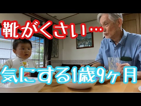挨拶の練習中に靴が臭いことを激しく気にする1歳9ヶ月 - YouTube