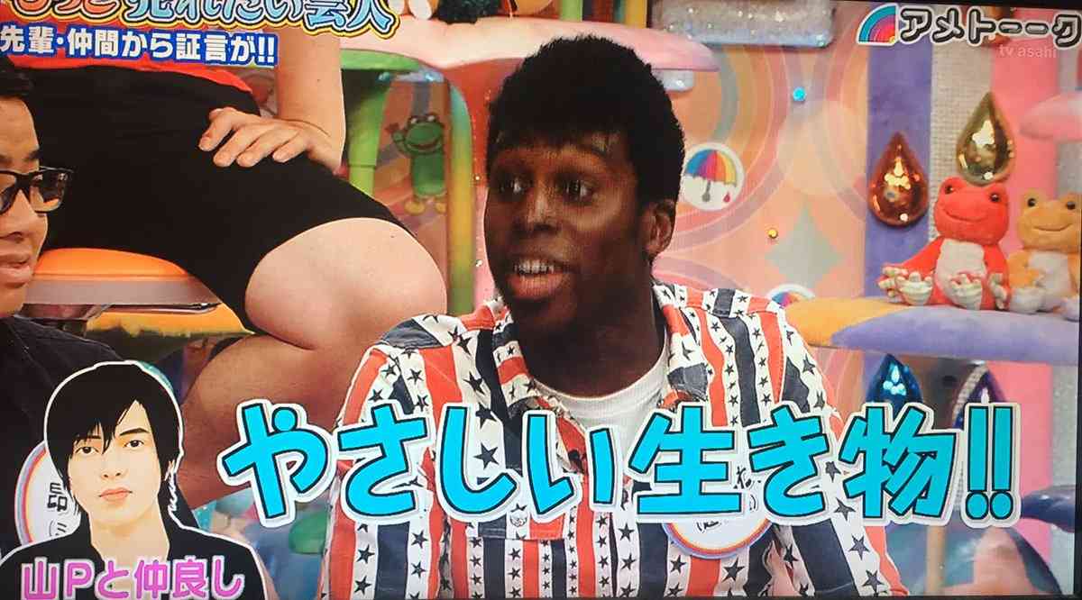 安心して見ることができる芸能人