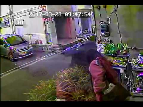 花泥棒1 - YouTube