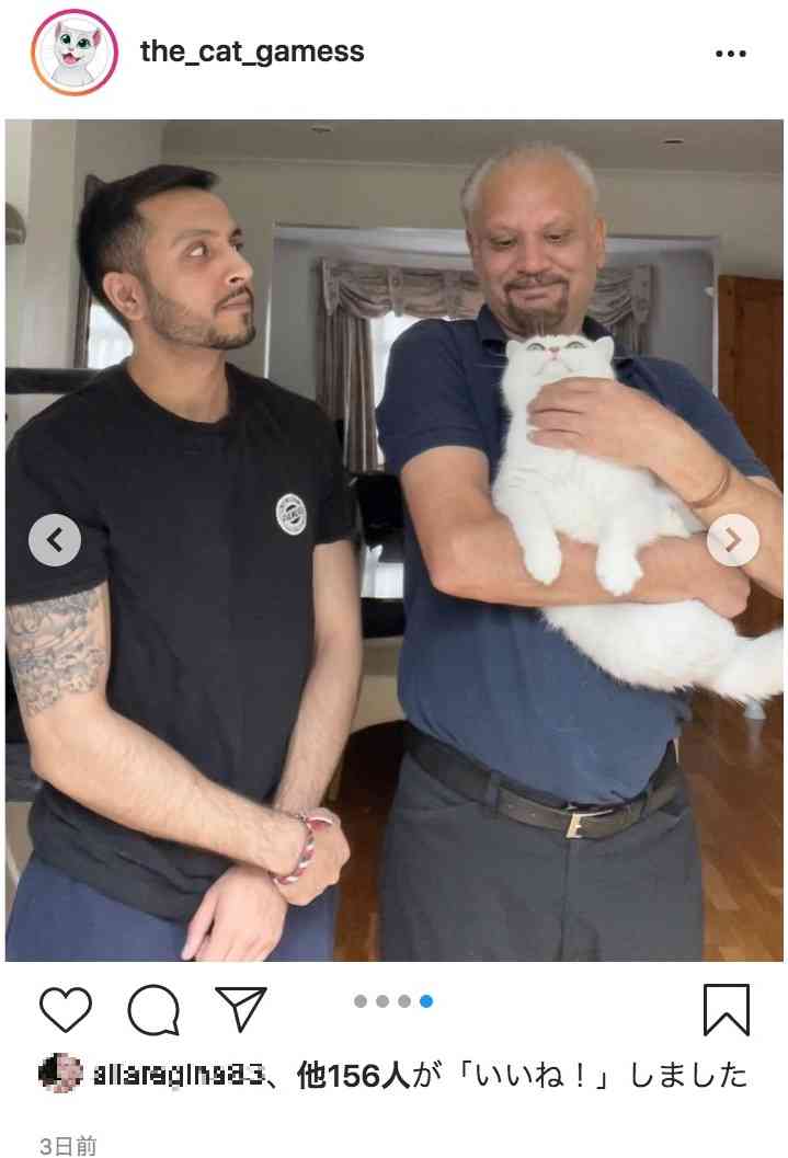 「絶対飼わん!」頑固な猫嫌いの父親、息子が連れてきた猫にメロメロに(英)