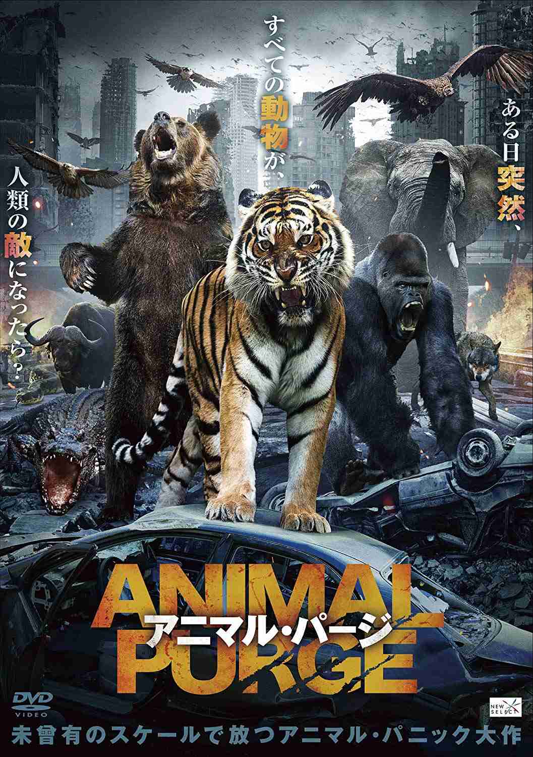 【サメ映画】アニマルパニック映画のおすすめ【ワニ映画】