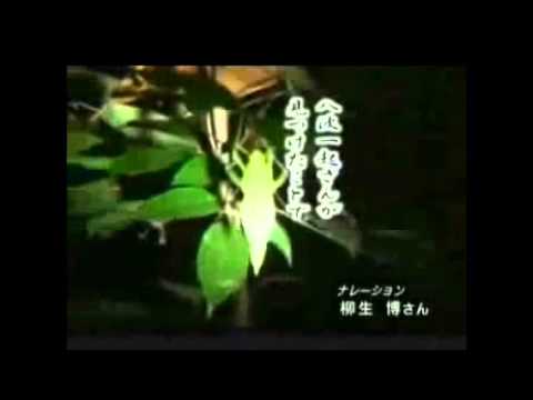 大泉洋による柳生博と渡辺篤史のモノマネ - YouTube