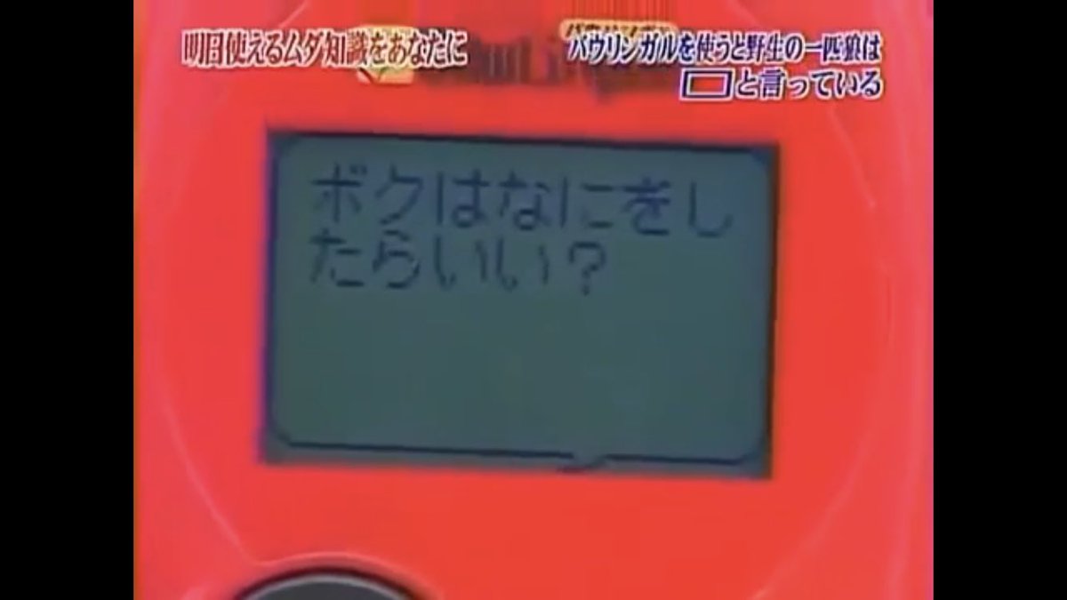 【トリビアの泉】印象的なトリビア