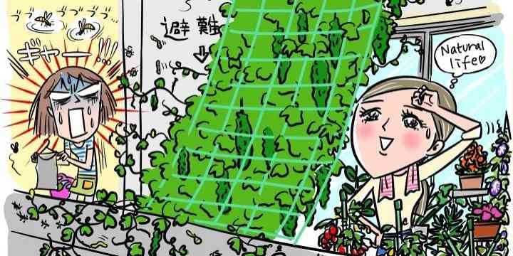 隣家のガーデニング問題