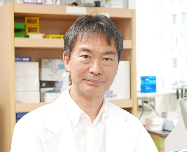 「ネコの宿命」腎臓病の治療法を開発　寿命が２倍、最長３０年にも　東大大学院・宮崎徹教授インタビュー：時事ドットコム