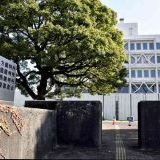 判決文を読んだけど、これ報道より酷いよボコボコニした挙句、裸で踊らせたり、裸... | ガールズちゃんねる - Girls Channel -