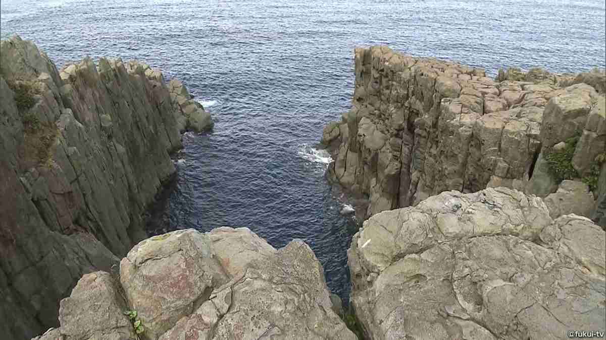 東尋坊の崖で「はよ落ちろ」…自殺に見せかけたか、少年ら7人再逮捕