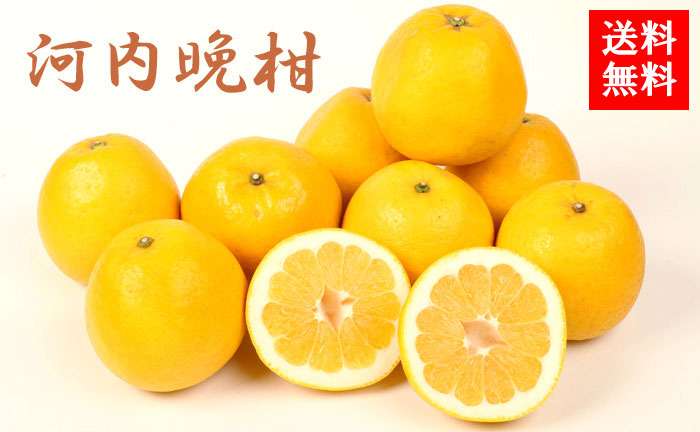 箱買いする果物ありますか？