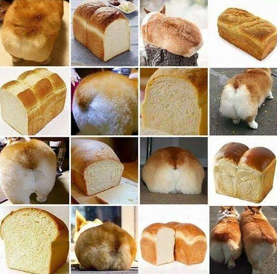 🥐ちぎりパンの画像が見たい🍞