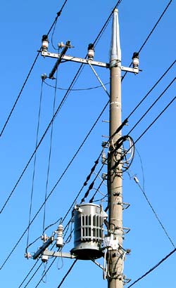 関西と関東で異なる習慣や文化