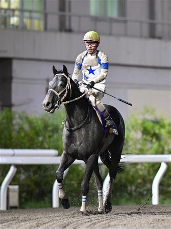 ＧＩ３勝のチュウワウィザードが右前脚を剥離骨折　３カ月以上の休養を要する見込み（サンケイスポーツ） - Yahoo!ニュース