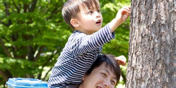 「孫の楽しみを奪わないで！」張り紙が話題　カブトムシ捕りで、他人の山に入ったらダメ？
