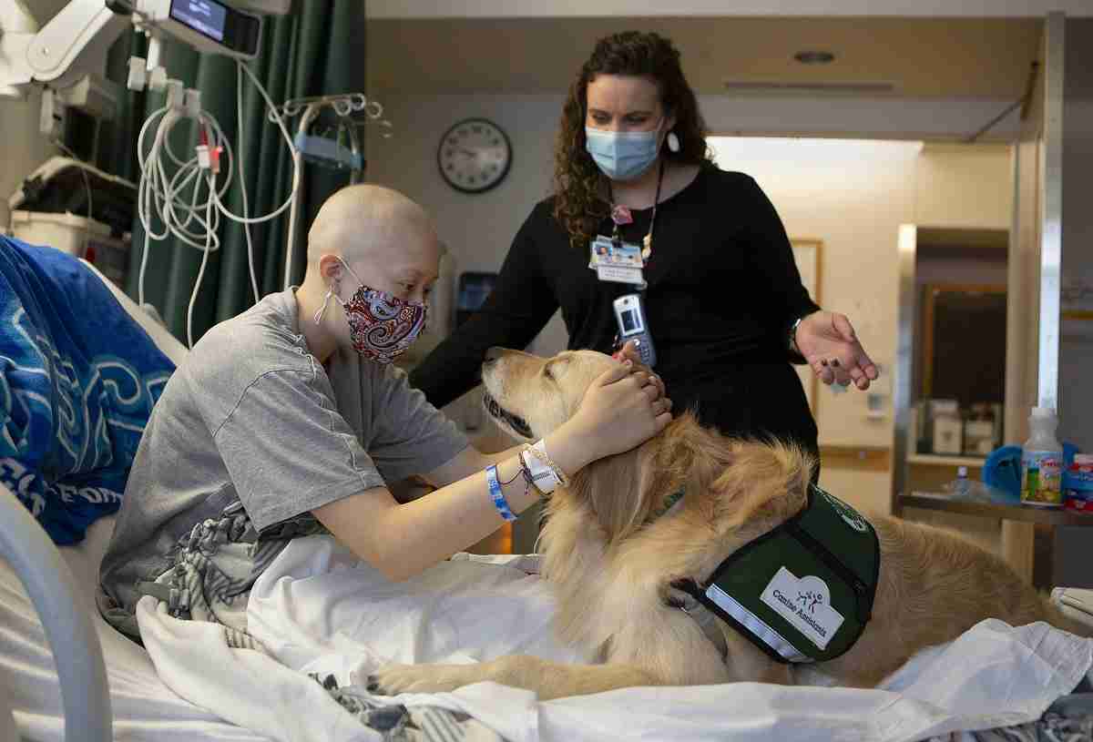色んな警察犬、救助犬が見たい！
