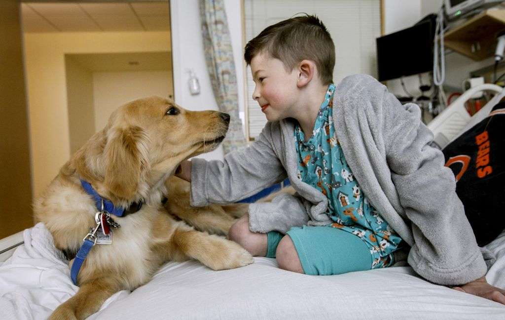 色んな警察犬、救助犬が見たい！