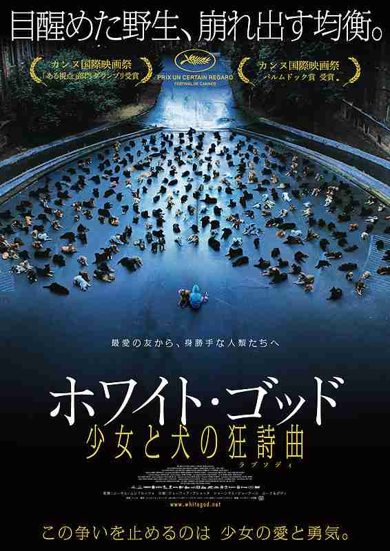 【サメ映画】アニマルパニック映画のおすすめ【ワニ映画】