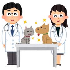 ペットの健康診断、毎年受けてる?