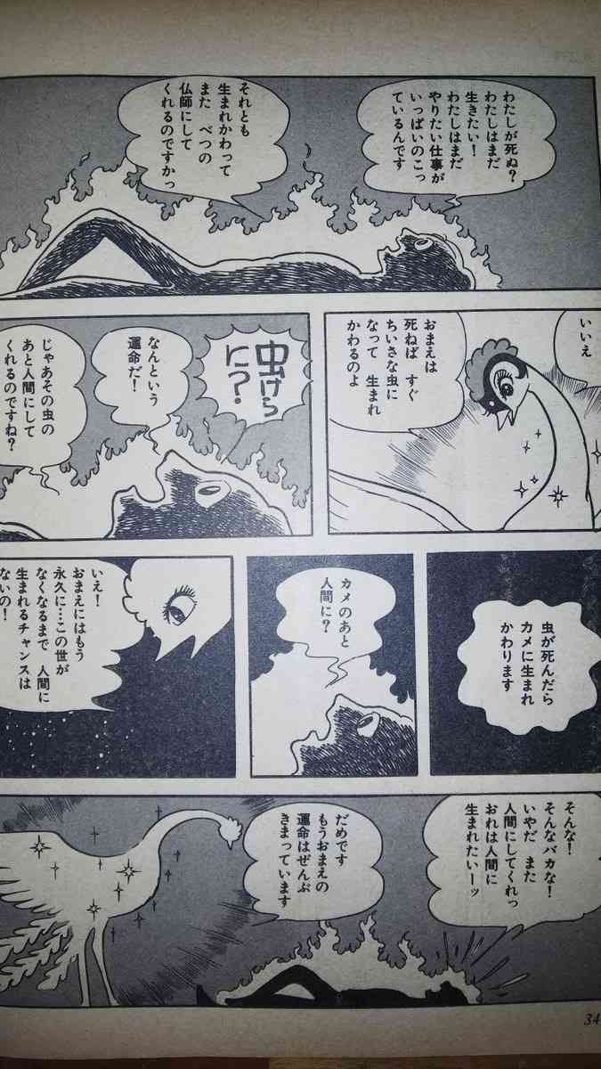 【輪廻転生】自分は人間として何回生まれ変わってると思いますか？