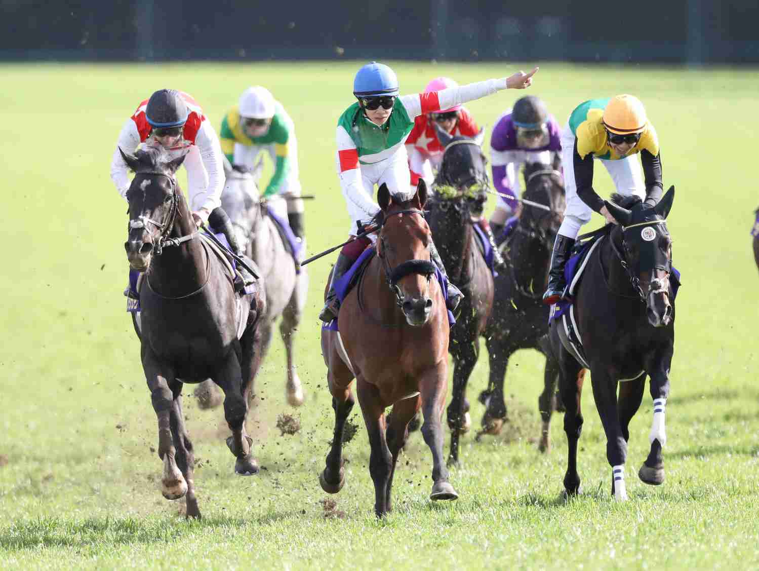 エフフォーリアは菊花賞へ向かわず、古馬相手の中距離Ｇ１目標ローテへ（日刊スポーツ） - Yahoo!ニュース