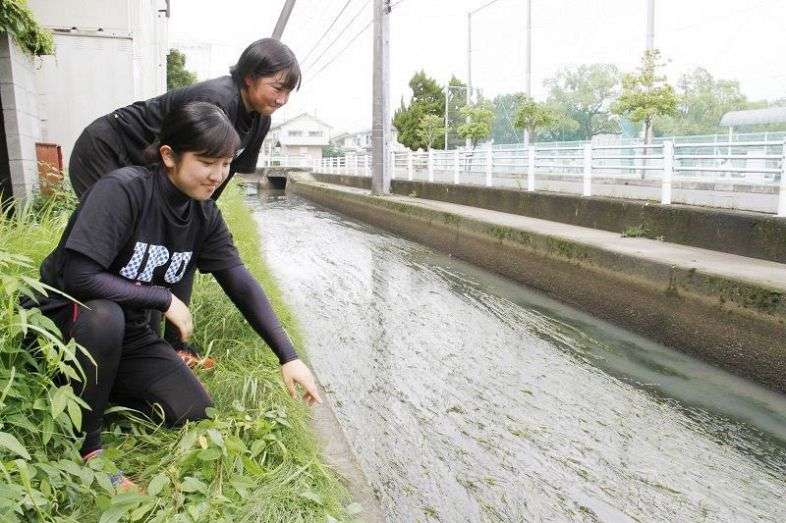 男児が自転車ごと用水路に転落「1、2分遅ければ死んでいた」…女子大生2人が協力して救助