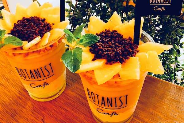 夏らしいお菓子の画像が見たい