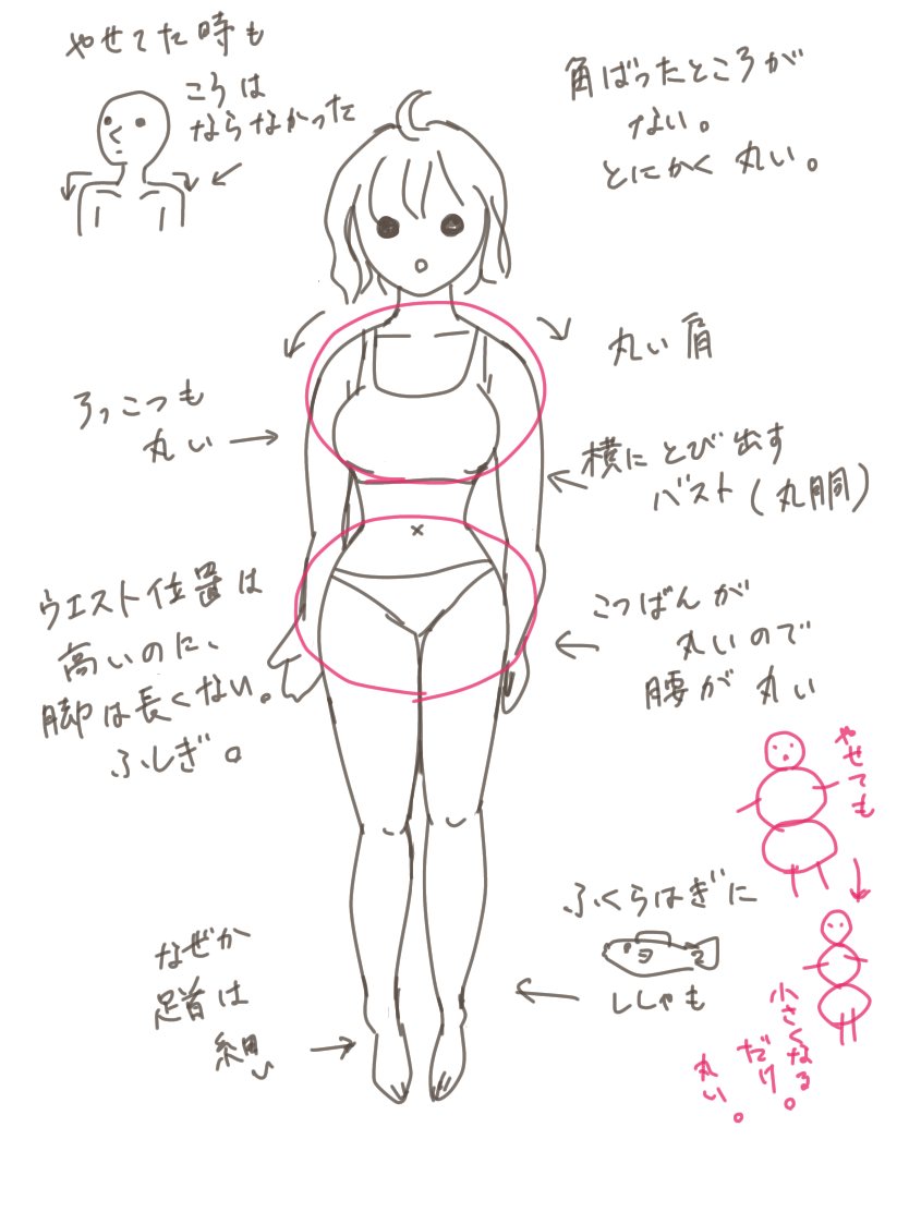 骨格ストレートさんのダイエット