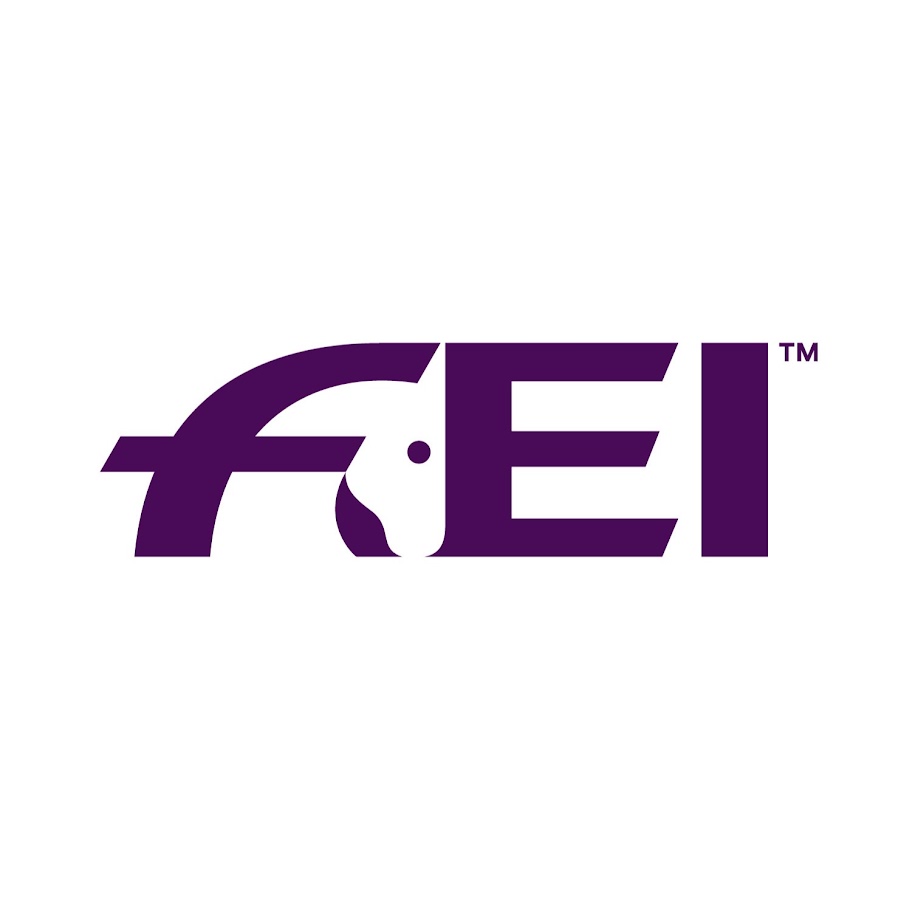 FEI - YouTube