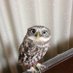 kmichi1 on Twitter: 