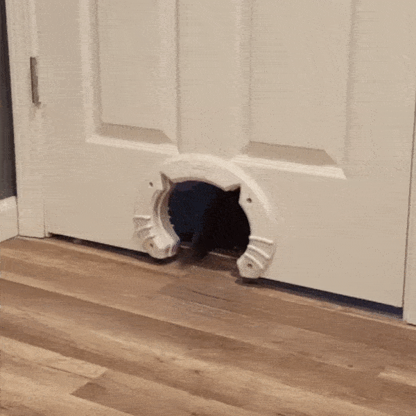 可愛いドアの画像を貼るトピ