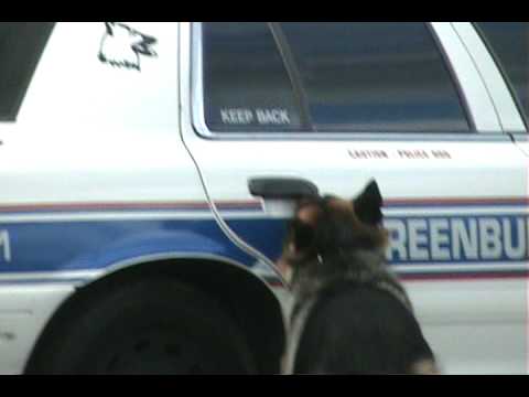 Smartest Police Dog Ever! - YouTube