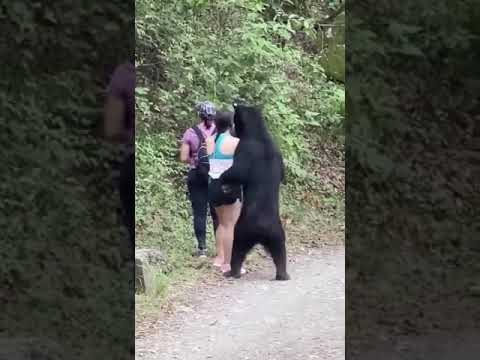 【絶体絶命】森でクマに遭遇した女性、神対応でやり過ごす - YouTube