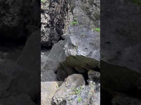 沖縄の危険でイカれた釣りポイント - YouTube
