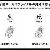 セミ恐怖症の方集合 ガールズちゃんねる Girls Channel