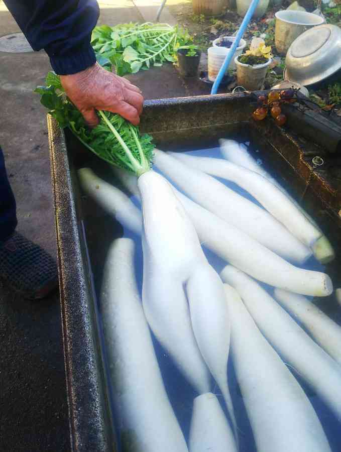 小雪、パックリ胸元ドレス姿「So beautiful...!!」「素敵です」