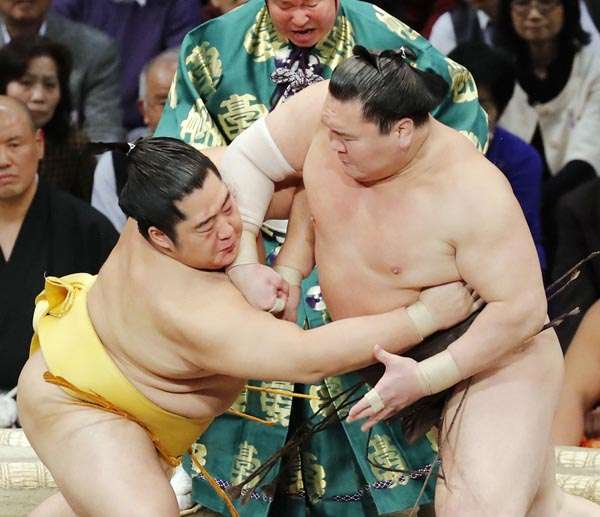 白鵬がまた「顔面エルボー」を炸裂 相手の遠藤は鼻から流血