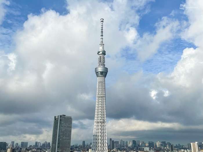 関東甲信地方・東北地方が梅雨明け 約1か月の短い梅雨に