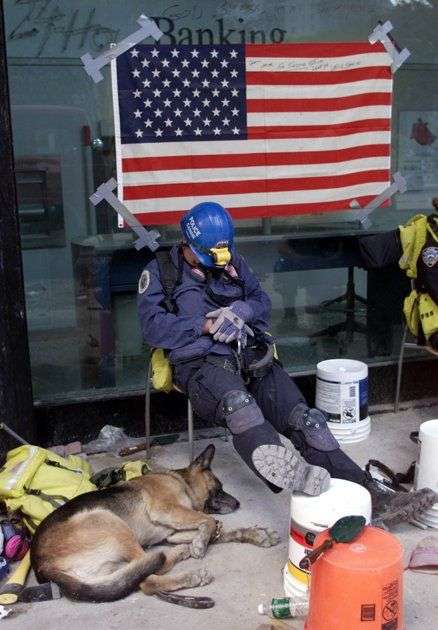 色んな警察犬、救助犬が見たい！