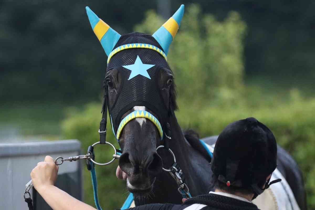 (競馬)明日の宝塚記念を予想しましょう!