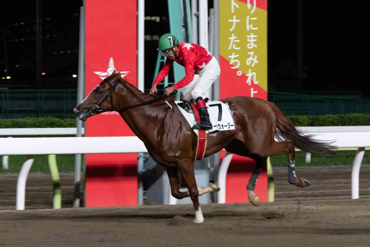 (競馬)明日の宝塚記念を予想しましょう!