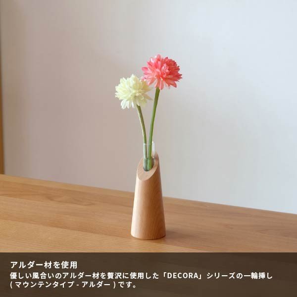 早朝・深夜でも“生花が買える”「花の自動販売機」小田急新宿駅 西口地下に、一輪挿しやドライフラワー