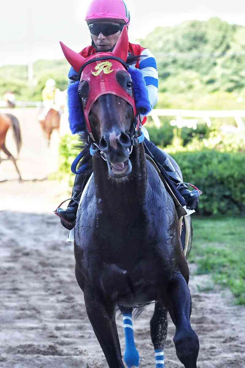 (競馬)明日の宝塚記念を予想しましょう!