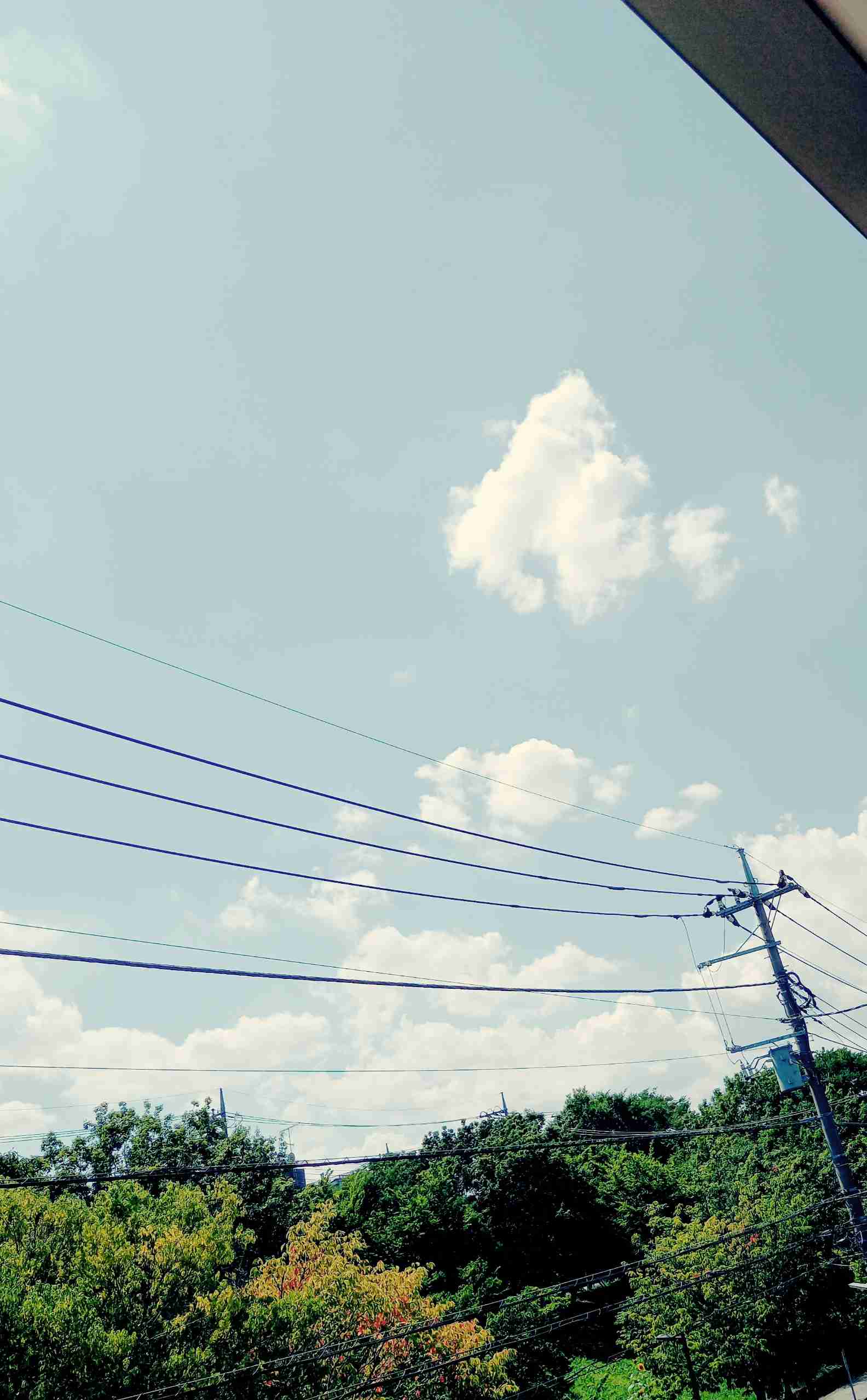 いまそら【空】