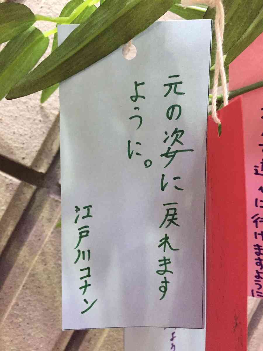 おもしろ短冊がみたい ガールズちゃんねる Girls Channel