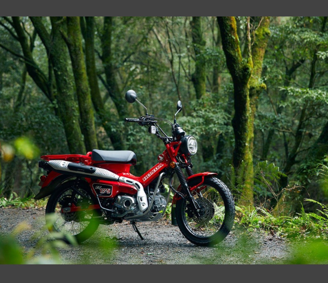 【7月】株トピ【2021】