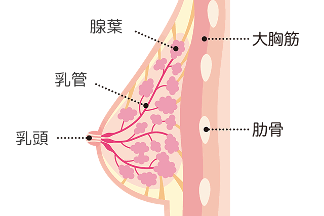 【痛い】乳腺症の人が語らうトピ【治し方】