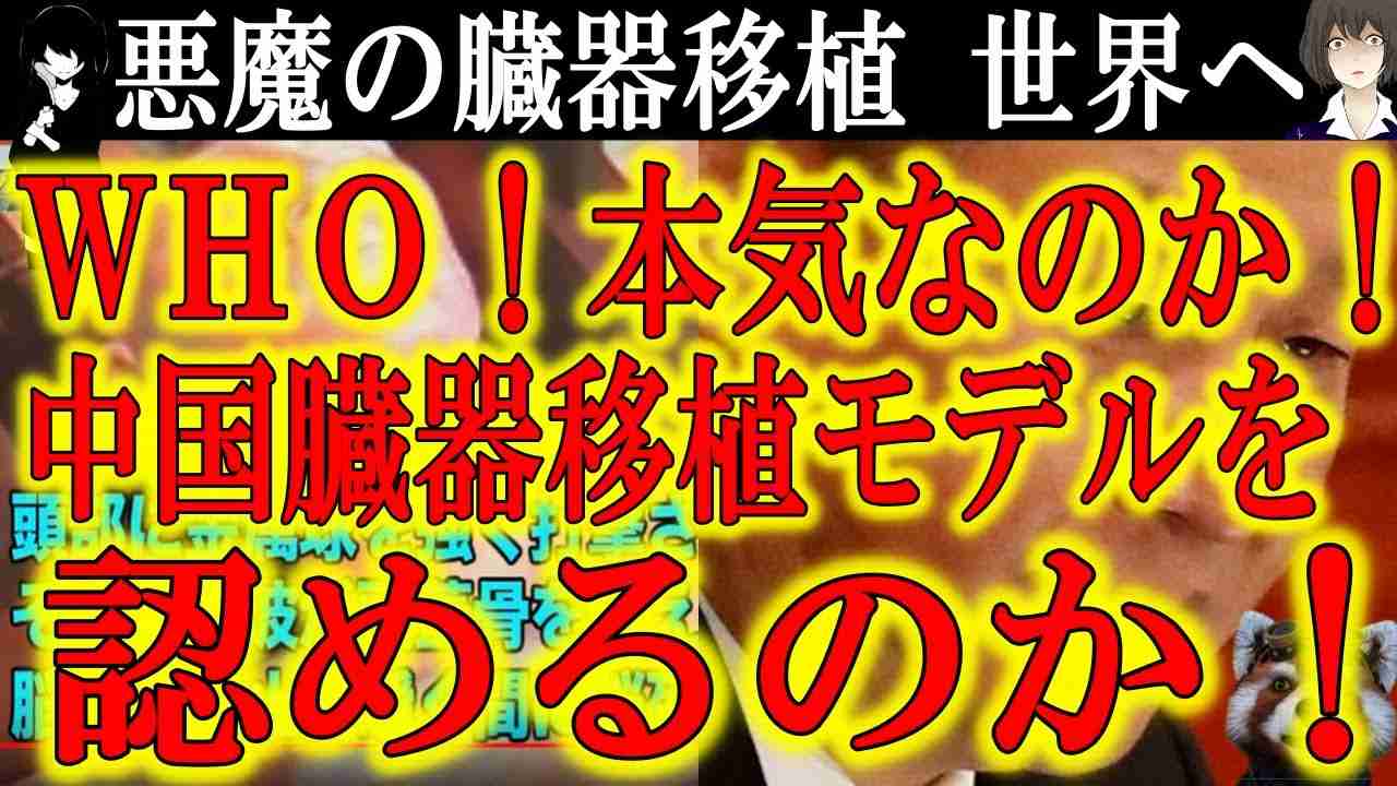 【人類史上最悪の事態！中国共産党『中国の臓器移植モデルを世界へ』】WHOが臓器収奪が疑われる中国の臓器移植モデルを認めた！家族への愛を利用する最悪の臓器ビジネスは絶対に止めなければならない！ - YouTube